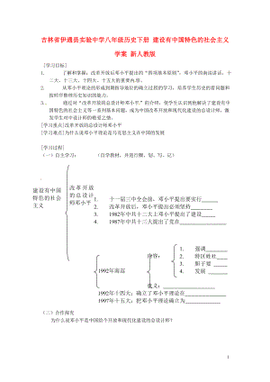 吉林省伊通縣實驗中學(xué)八年級歷史下冊 建設(shè)有中國特色的社會主義學(xué)案（無答案） 新人教版