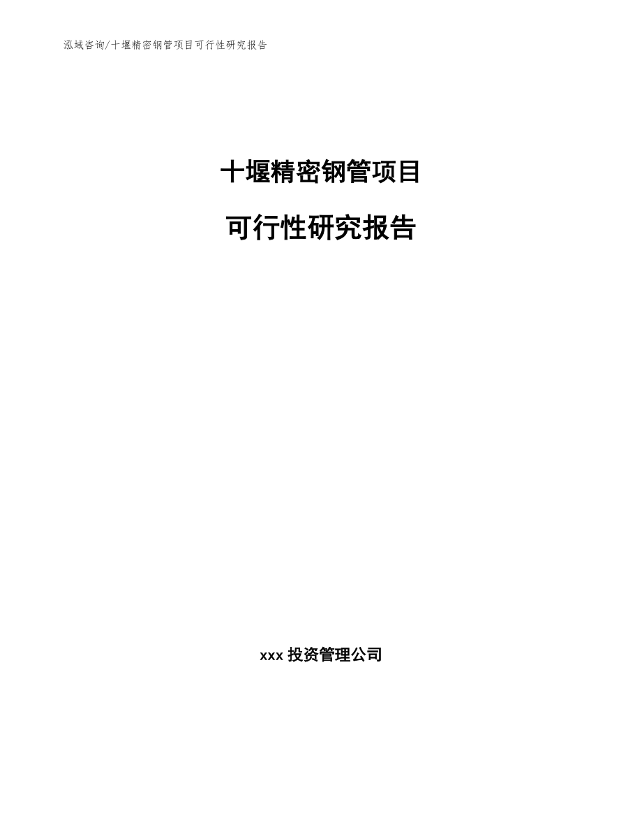 十堰精密钢管项目可行性研究报告范文模板_第1页