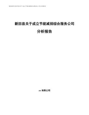 新田县关于成立节能减排综合服务公司分析报告（模板范文）