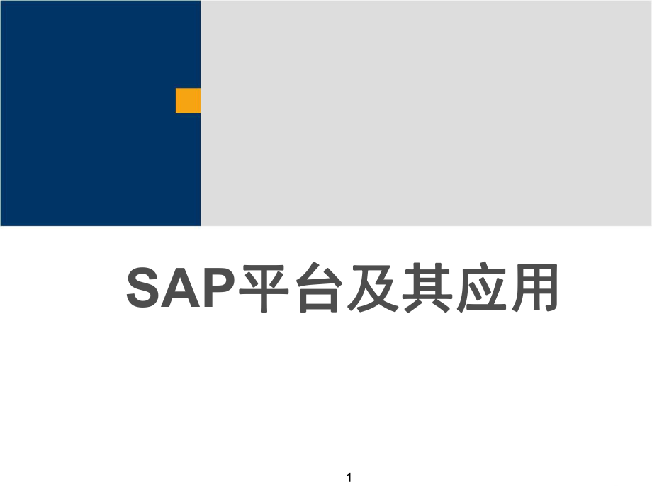 SAP产品技术平台的演变与NetWeaver技术平台(ppt 34页)_第1页