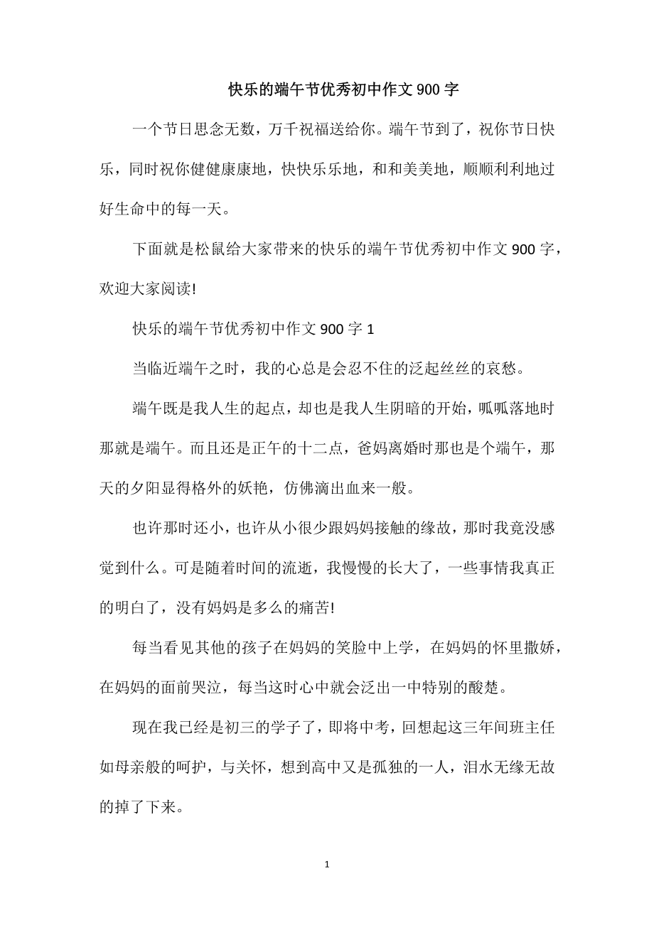 快乐的端午节优秀初中作文900字_第1页