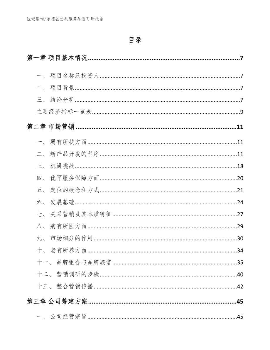 永德县公共服务项目可研报告（范文参考）_第1页