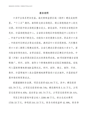 宜阳县口岸服务项目企划书_参考模板
