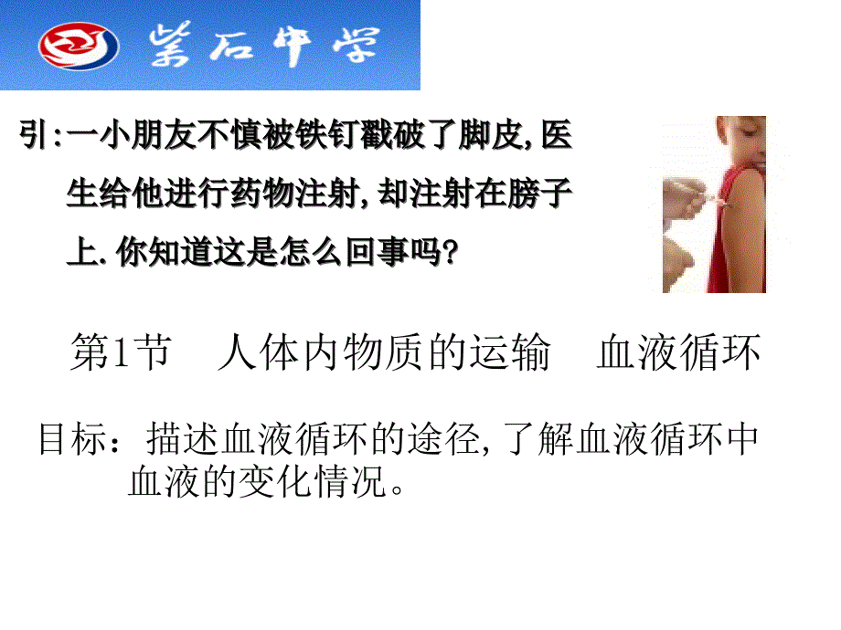 八年级苏科版八上生物血液循环ppt课件_第1页