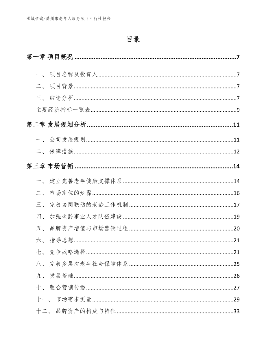 禹州市老年人服务项目可行性报告_模板范本_第1页