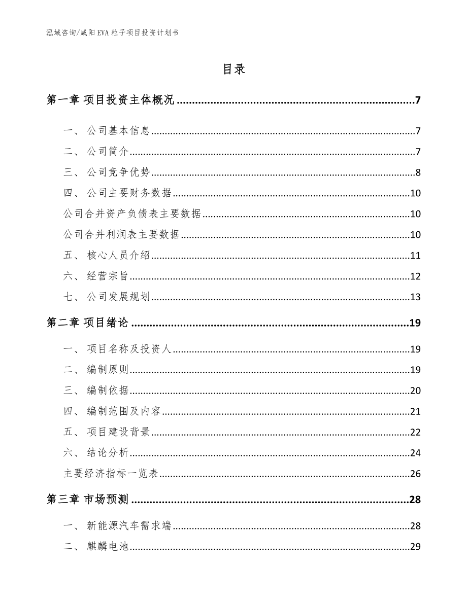 咸阳EVA粒子项目投资计划书（模板参考）_第1页