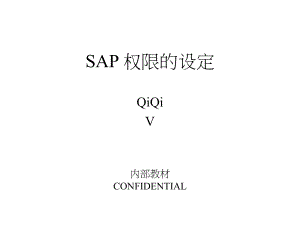 sap权限的设定方法(ppt 121页)