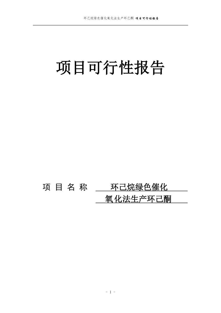 化氧化法生產(chǎn)環(huán)己酮 項目可行性報告_第1頁