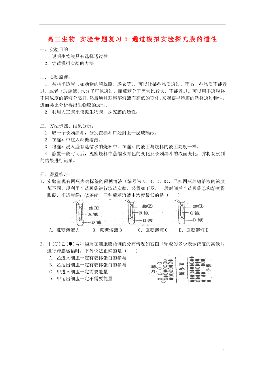 高三生物 實(shí)驗(yàn)專題復(fù)習(xí)5 通過模擬實(shí)驗(yàn)探究膜的透性_第1頁