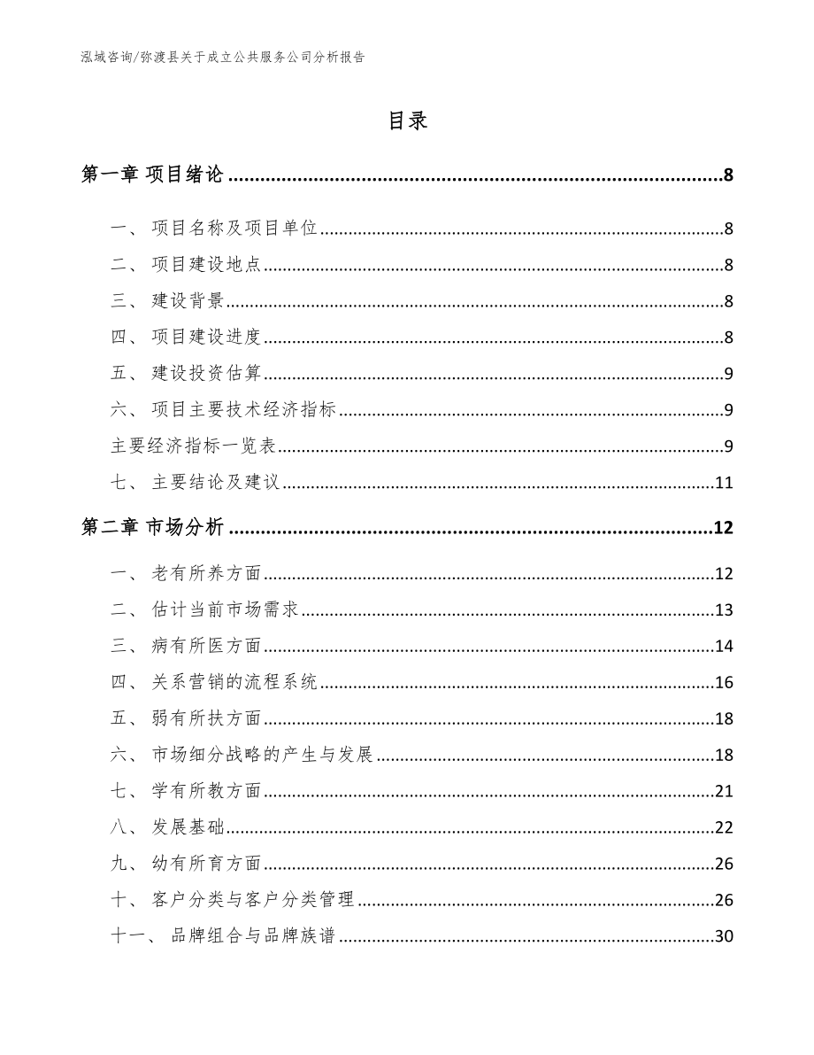 弥渡县关于成立公共服务公司分析报告_参考模板_第1页