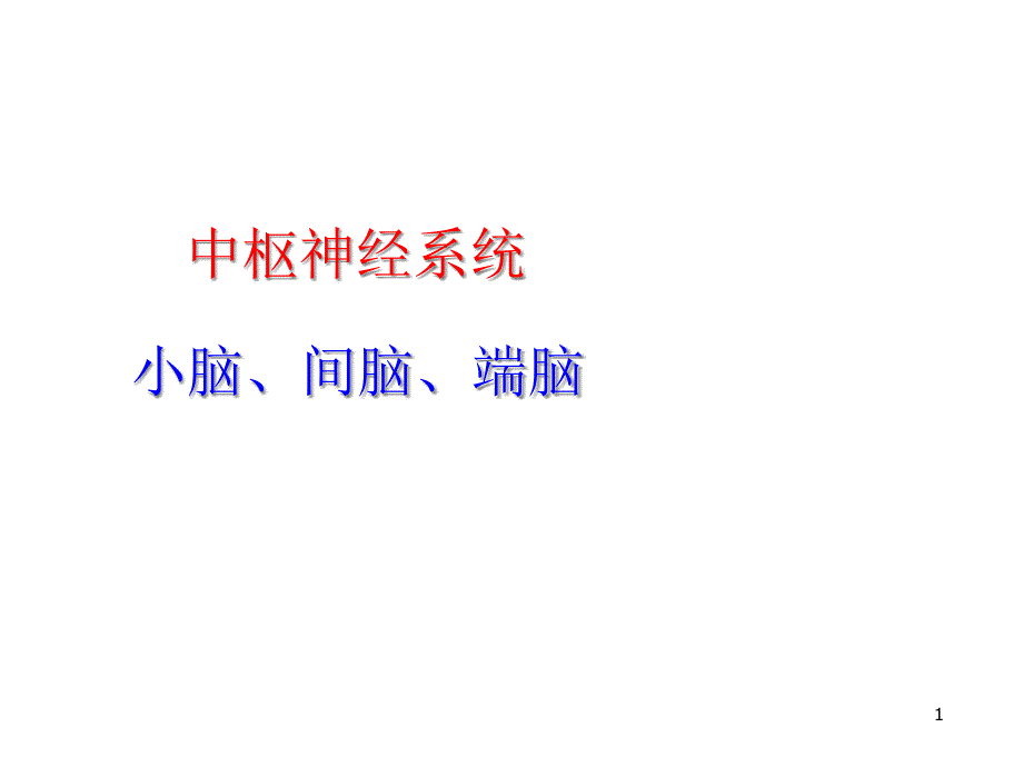 中枢神经系统：小脑、间脑、端脑课件_第1页