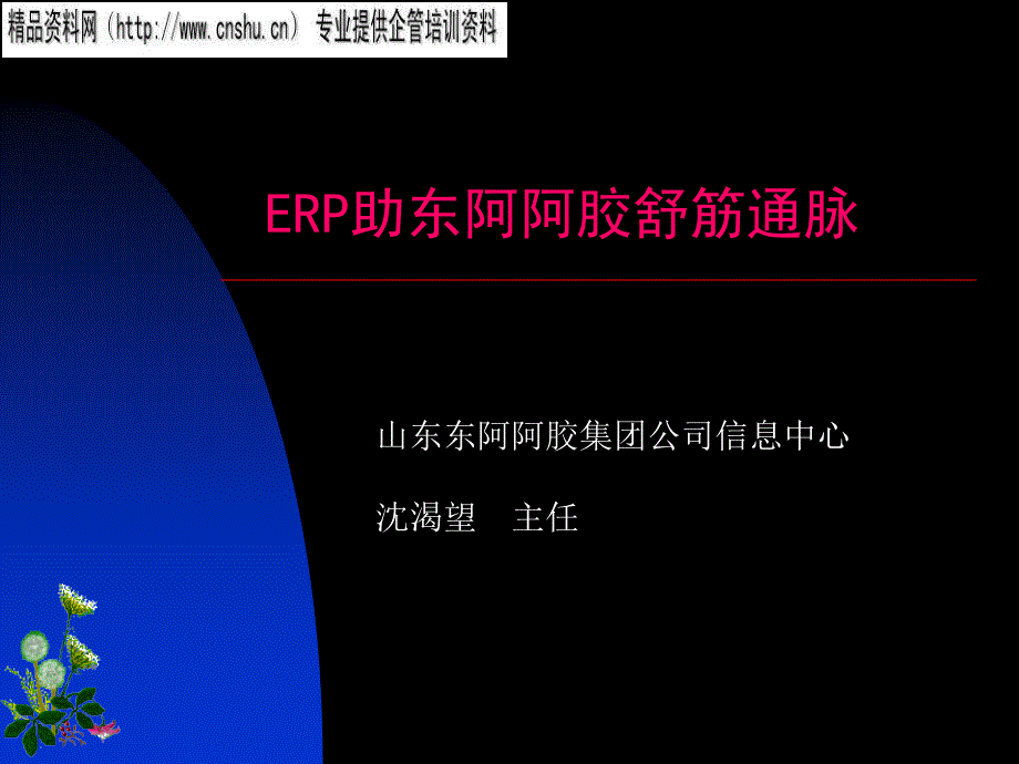 ERP助阿胶舒筋通脉讲解5939_第1页