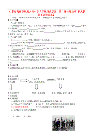 山東省高密市銀鷹文昌中學(xué)八年級歷史下冊 第3課 土地改革學(xué)案（無答案）新人教版