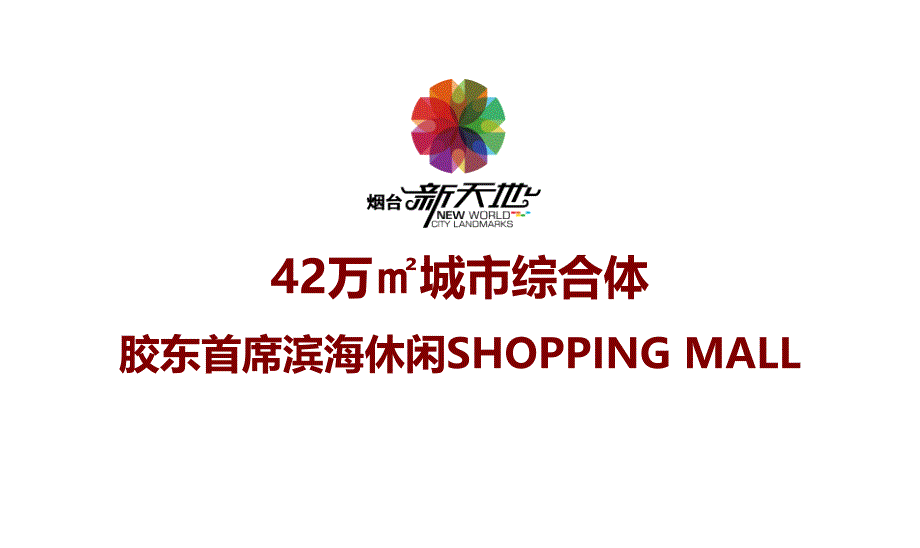 烟台新天地都市广场项目招商手册(35张)课件_第1页