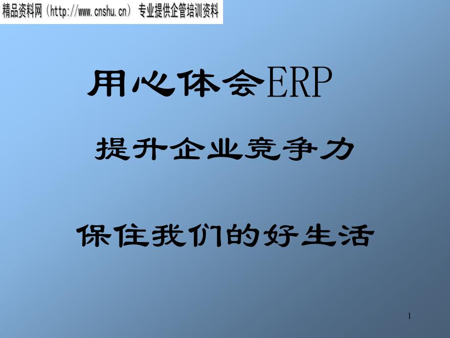 企业ERP实施过程31329_第1页