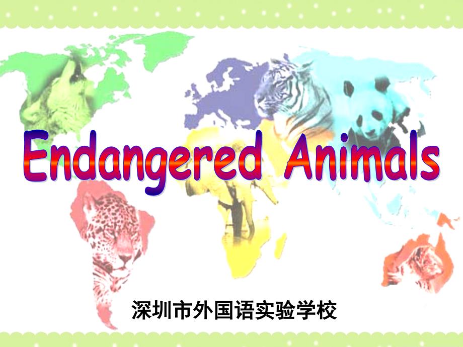 endangeredanimals全国获奖优质课课件_第1页