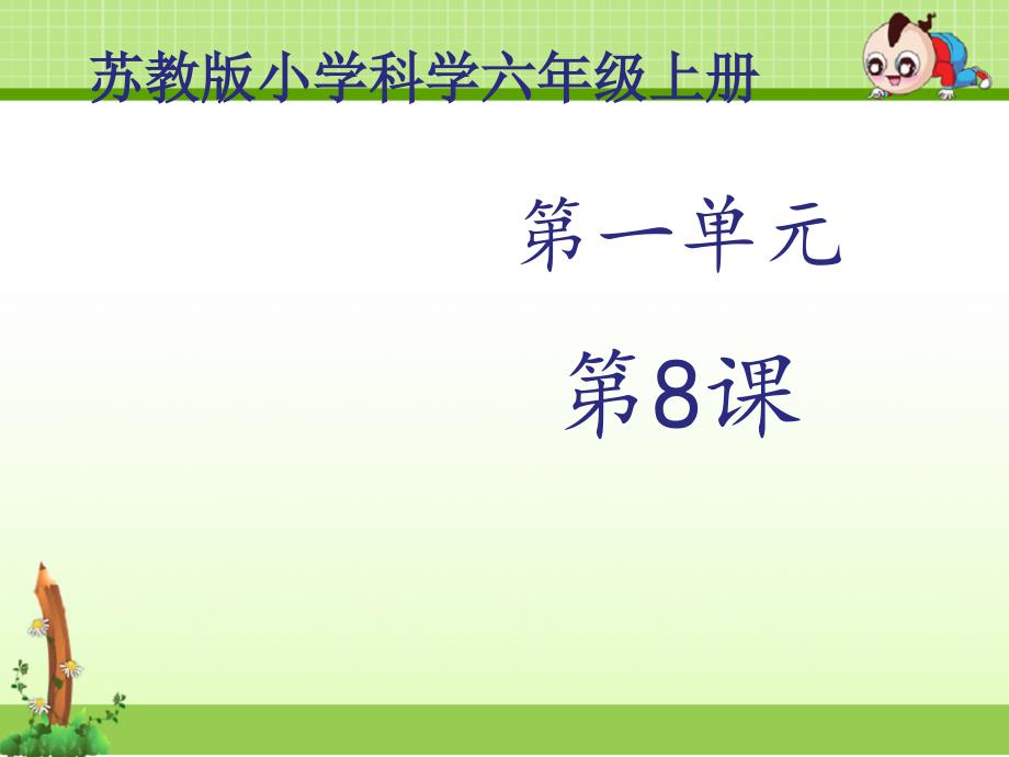 苏教版科学六年级上册课件：《搭建生命体的积木》课件——第2课时_第1页