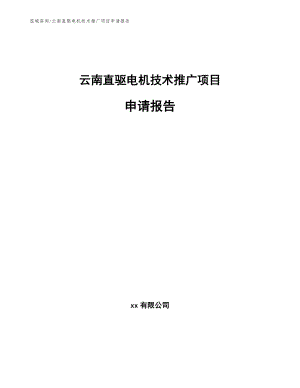 云南直驱电机技术推广项目申请报告