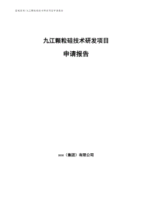 九江颗粒硅技术研发项目申请报告