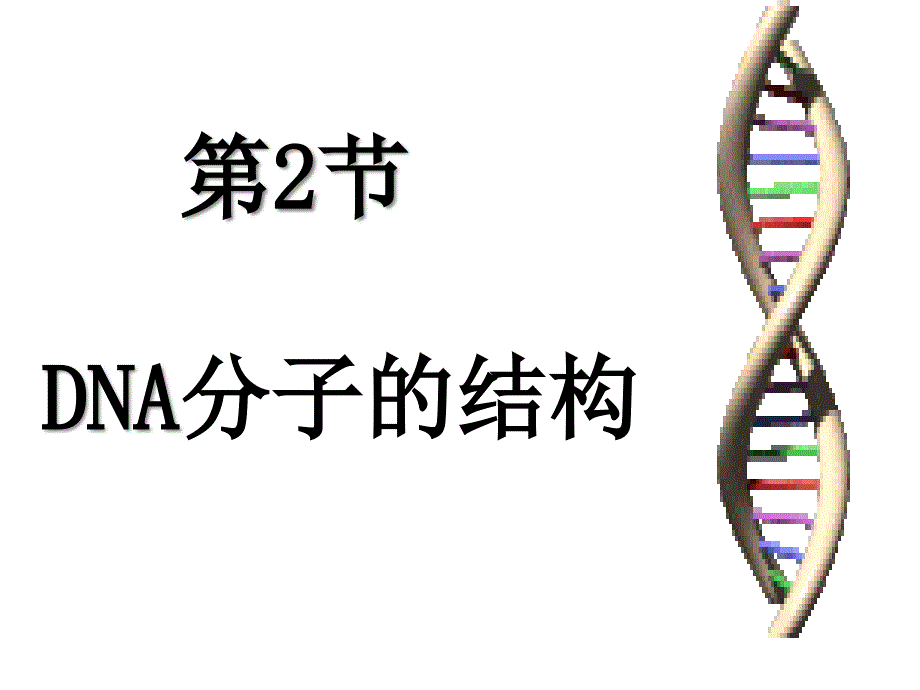 32DNA分子的结构一等奖优秀课件_第1页