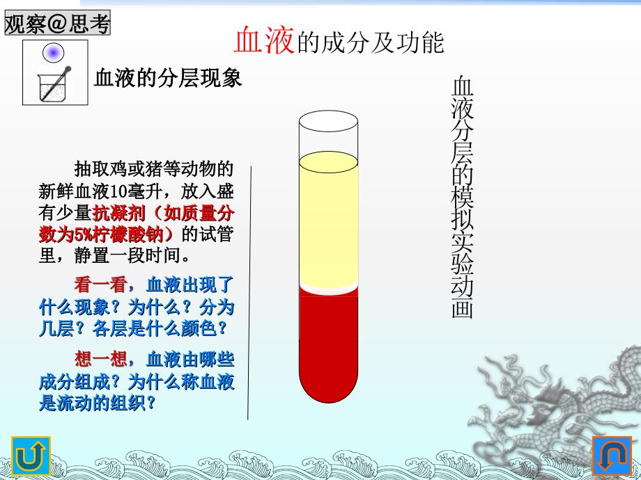 人教版生物七年级下册《流动的组织血液》课件_第1页