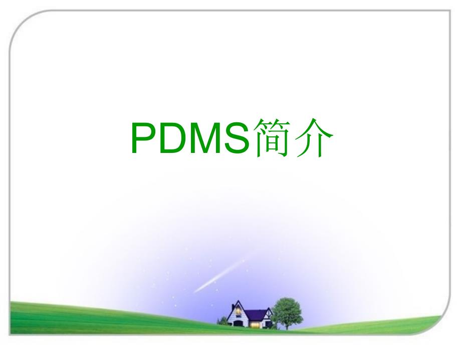 PDMS简介8727_第1页