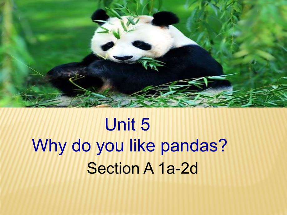 人教版英语七年级下册Unit5--Why-do-you-like-pandas-section-A(1a-2d)ppt课件_第1页