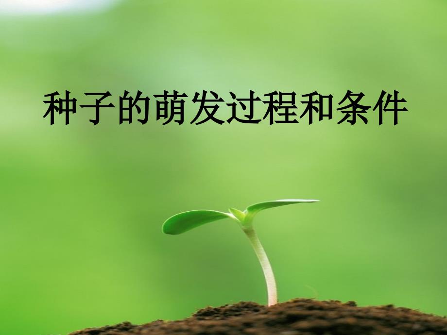 九年级生物 种子的萌发和芽的发育_第1页