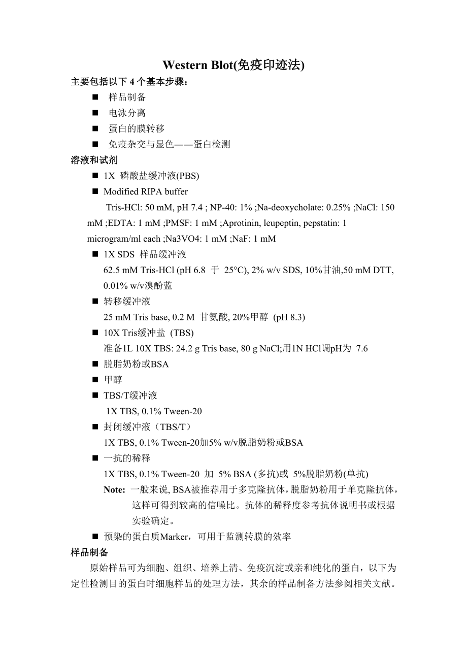 WesternBlot(免疫印迹法)_第1页