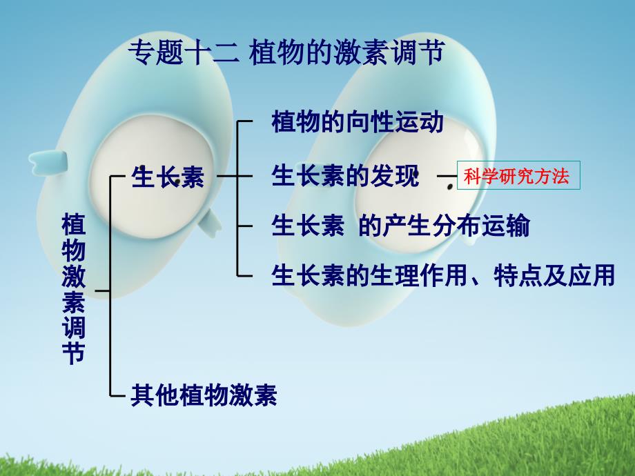 专题十二_植物的激素调节(必修3)_第1页