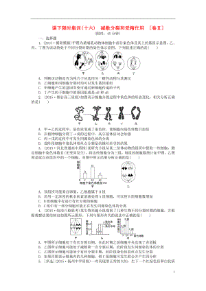 【創(chuàng)新方案】2016屆高三生物一輪復(fù)習(xí) 第四單元 第2講 減數(shù)分裂和受精作用課下限時集訓(xùn)2 新人教版必修1