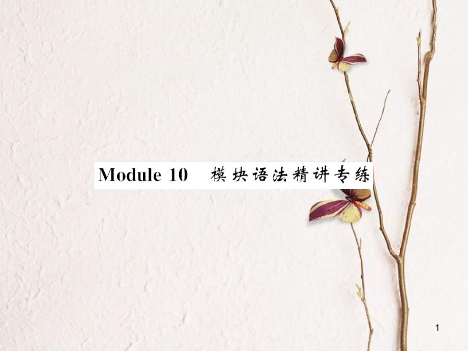 aumAAA七年级英语上册 Module 10 Spring Festival语法精讲专练课件 （新版）外研版_第1页