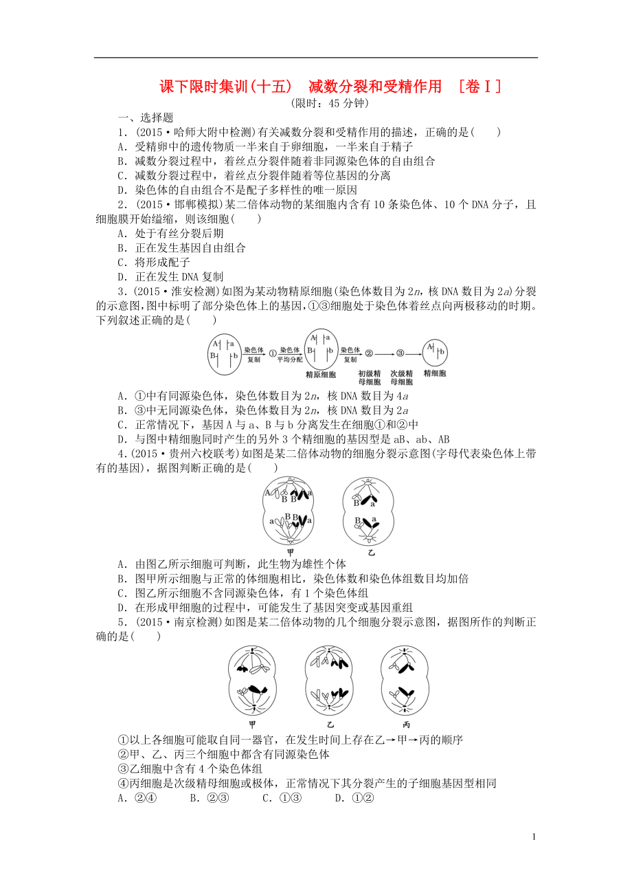 【創(chuàng)新方案】2016屆高三生物一輪復(fù)習(xí) 第四單元 第2講 減數(shù)分裂和受精作用課下限時(shí)集訓(xùn)1 新人教版必修1_第1頁