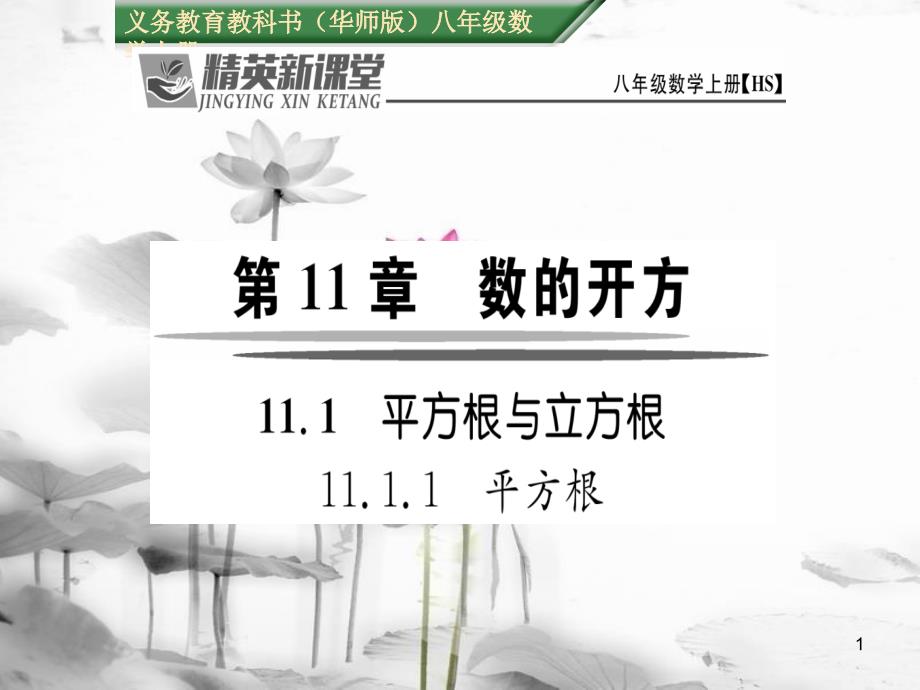 theAAA八年级数学上册 11.1.1 平方根课件 （新版）华东师大版_第1页