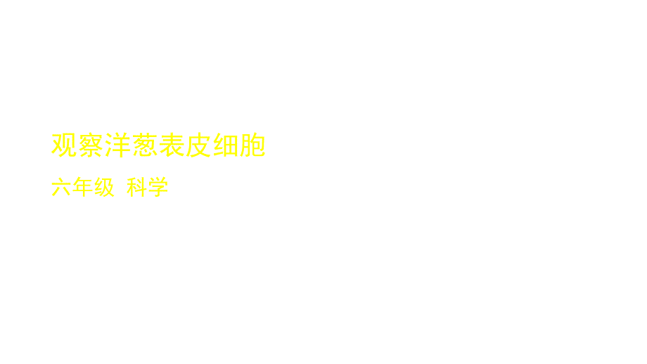 2020新教科版科学六年级上册14观察洋葱表皮细胞教学课件_第1页