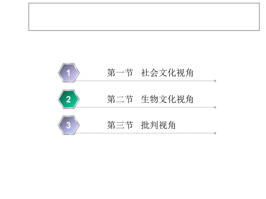 第三章：医学人类学的理论视野课件_第1页