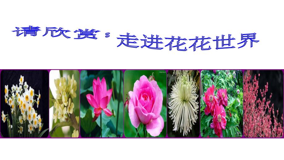 《开花和结果》初中生物公开课课件_第1页