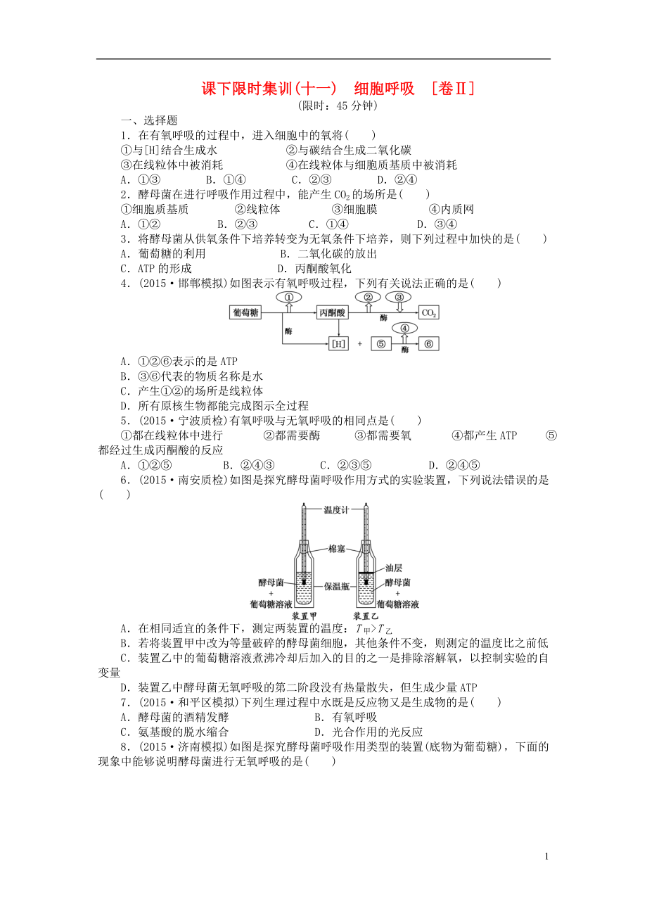 【創(chuàng)新方案】2016屆高三生物一輪復(fù)習(xí) 第三單元 第2講 細(xì)胞呼吸課下限時集訓(xùn)2 新人教版必修1_第1頁