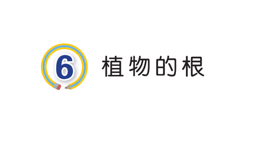 [新青岛版]6植物的根三年级上册科学优质课件_第1页