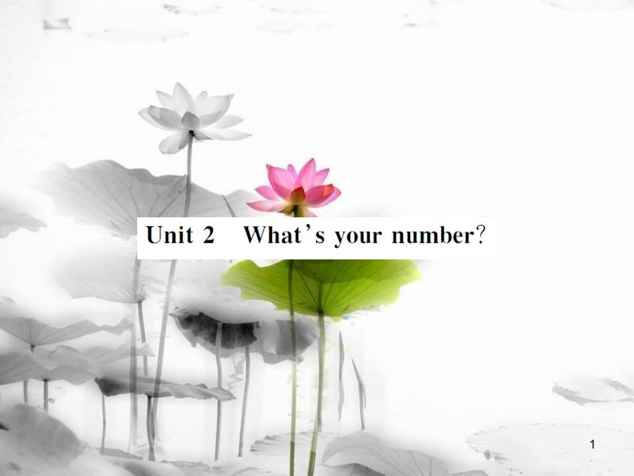 rmhAAA七年级英语上册 Starter Module 2 My English lesson Unit 2 What's your number课件 （新版）外研版_第1页