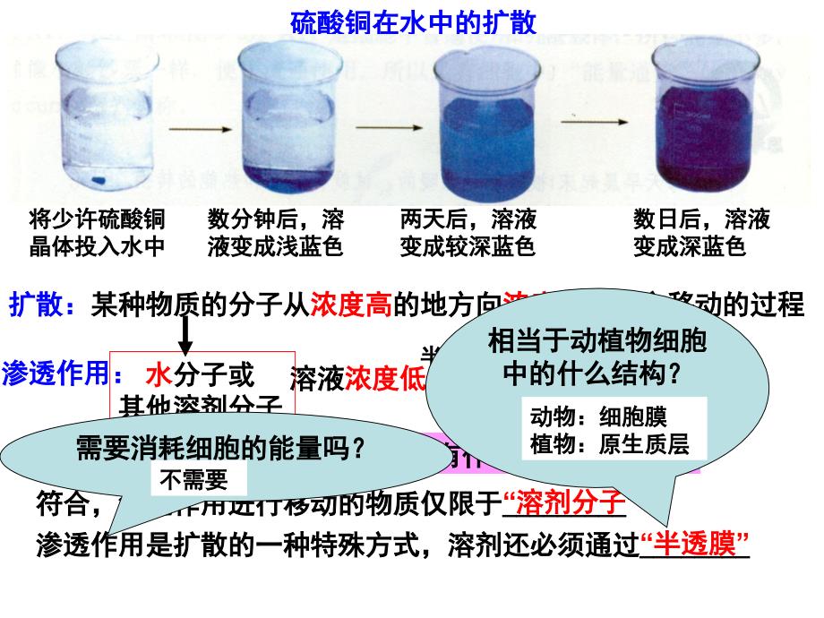 4.3物质跨膜运输的方式_第1页