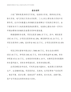 商洛关于成立火电技术应用公司可行性报告（模板范本）