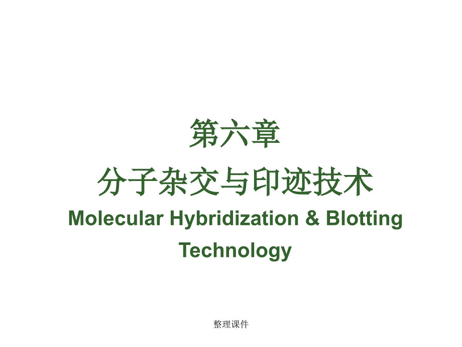 分子杂交与印迹技术课件_第1页