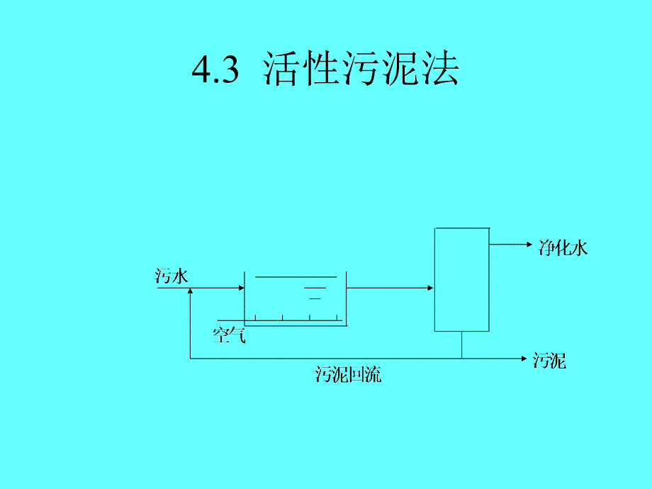 环境化学工程 课件 第4-3 活性污泥_第1页