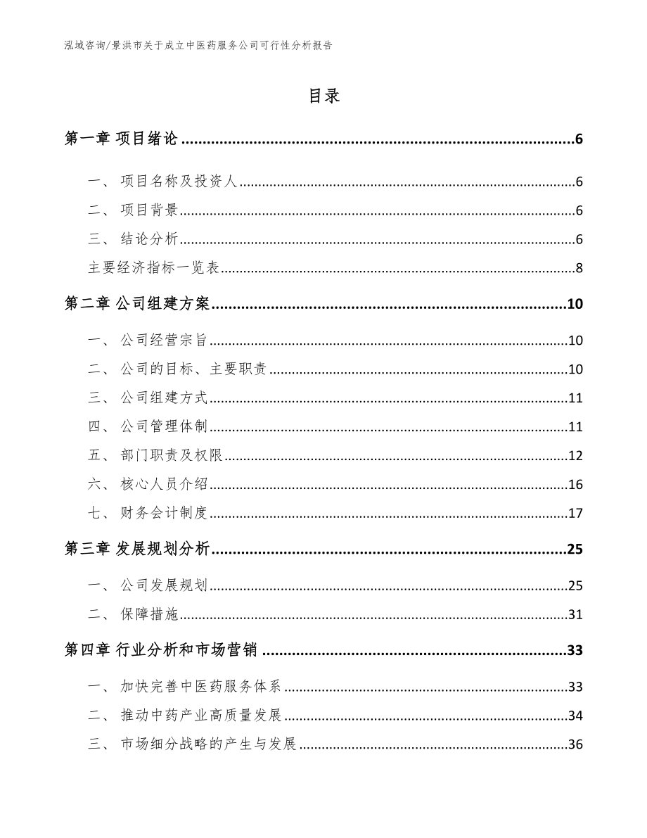 景洪市关于成立中医药服务公司可行性分析报告（参考模板）_第1页