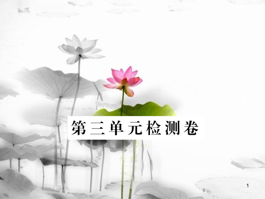 安徽省九年级语文上册 第三单元检测卷习题讲评课件 新人教版[共25页]_第1页