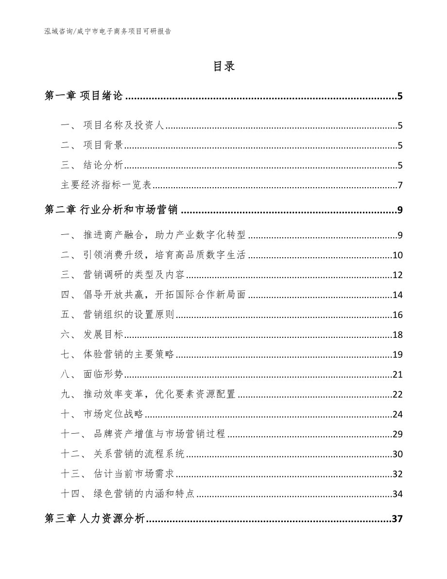 咸宁市电子商务项目可研报告_参考模板_第1页