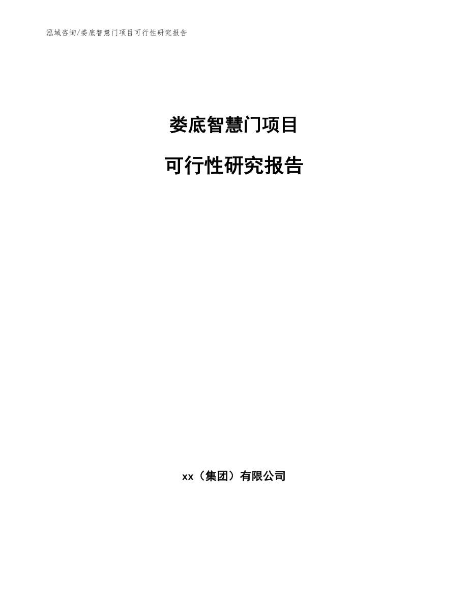 娄底智慧门项目可行性研究报告（参考模板）_第1页