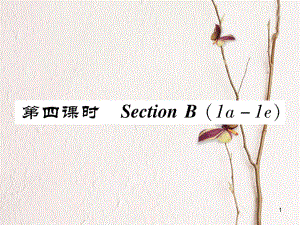 八年級(jí)英語上冊 Unit 8 How do you make a banana milk shake（第4課時(shí)）Section B（1a-1e）同步作業(yè)課件 （新版）人教新目標(biāo)版