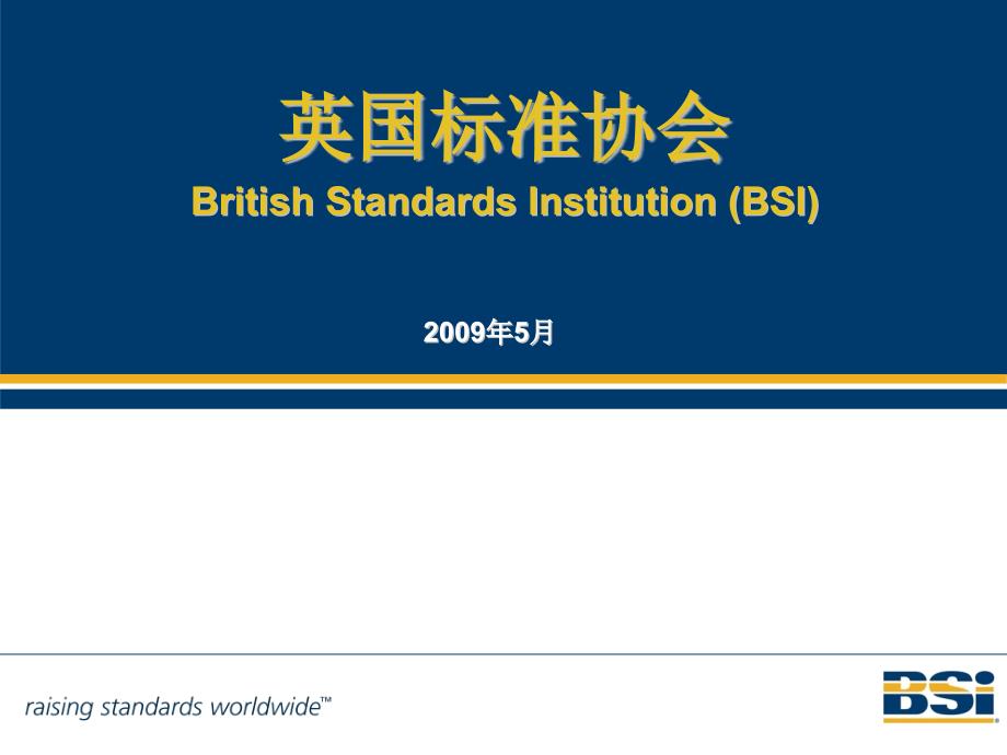 BSI英国标准协会简介42761_第1页